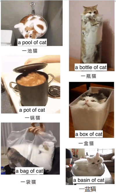 这是一张多图拼接的萌宠图片，包含6张不同场景的猫咪照片，每张照片中猫咪都钻进了不同的容器里，并配有英文短语和中文翻译：‘a pool of cat 一池猫’（猫咪蜷缩在圆形容器中）、‘a bottle of cat 一瓶猫’（猫咪卡在透明瓶子里）、‘a pot of cat 一锅猫’（猫咪在锅中露出脑袋）、‘a box of cat 一盒猫’（猫咪从盒子里探出头）、‘a bag of cat 一袋猫’（猫咪装在塑料袋里）、‘a basin of cat 一盆猫’（猫咪坐在水盆中）。整体风格可爱幽默，通过将通常用于描述液体或物质的‘a ... of’结构应用于猫咪，创造出趣味效果，展现了猫咪喜欢钻进狭小空间的习性。