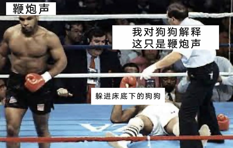 职业拳击手