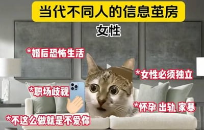 图片以“当代不同人的信息茧房”为主题，聚焦女性视角。画面中心是一只表情惊讶的猫头部，置于沙发场景中。上方黄色横幅写有标题“当代不同人的信息茧房”，中间标注“女性”二字。猫的周围环绕多个红色文字标签，内容包括“婚后恐怖生活”“女性必须独立”“职场歧视”“不这么做就是不爱你”“怀孕出轨家暴”，左侧有一只手握着智能手机。整体通过夸张的文字标签和猫的惊讶表情，讽刺女性在信息环境中可能被特定负面或刻板内容包围形成信息茧房的现象。