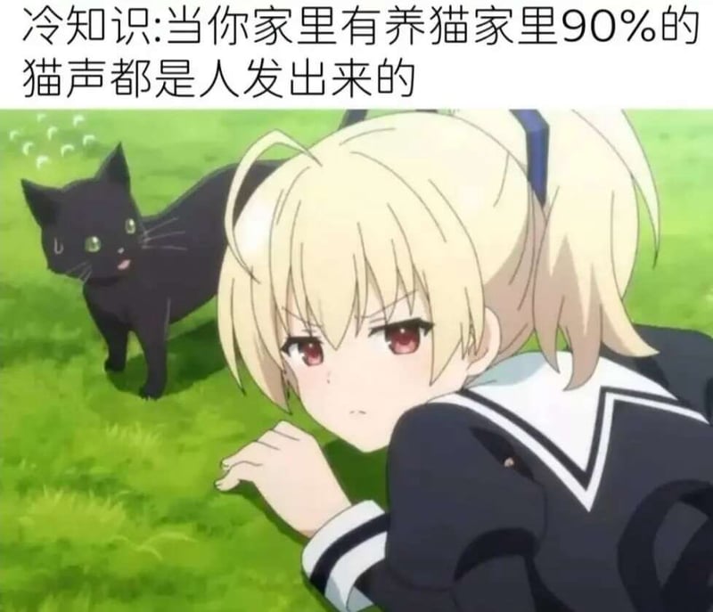 《刺客守则》