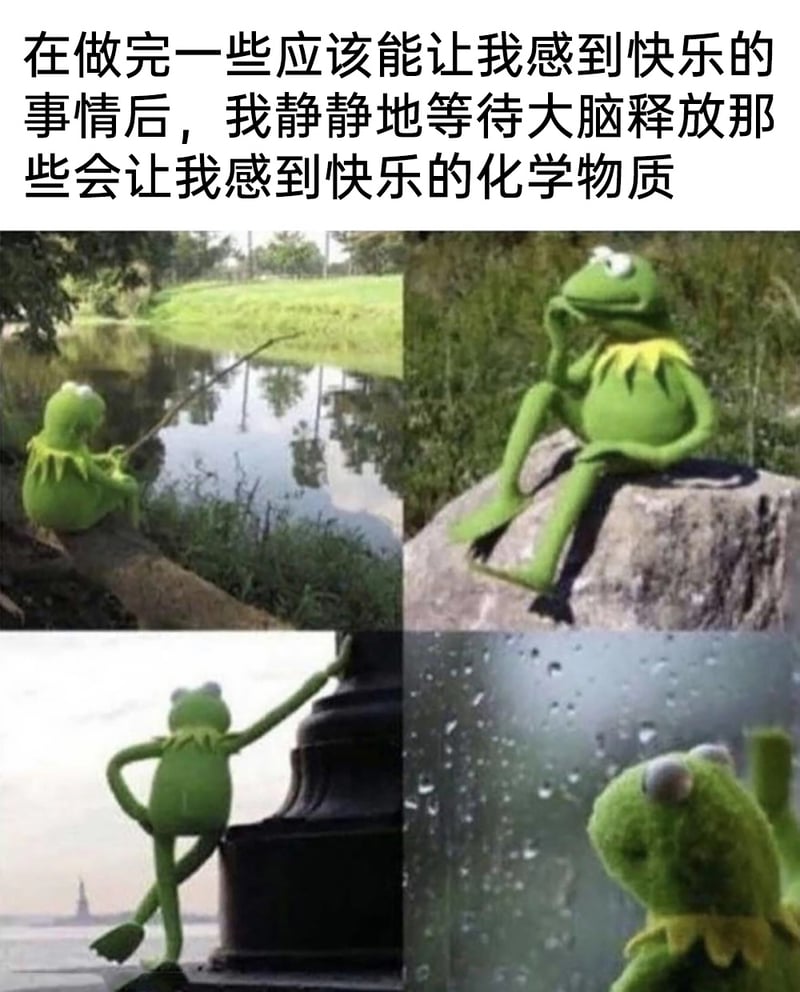 《大青蛙布偶秀》