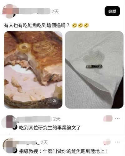 这是一张社交媒体帖子截图，原发帖人发布两张图提问：有没有人吃鲑鱼的时候吃到图里的东西，左图是吃了一部分的烹饪好的鲑鱼，右图是从鲑鱼中取出的黑色小型追踪芯片，下方两条网友评论玩梗，第一条评论称“吃到某位研究生的毕业论文了”，第二条评论补梗“指导教授：什么叫做你的鲑鱼跑到陆地上！”，玩的梗是科研领域会给野生鲑鱼植入芯片标记追踪用于实验研究，这个梗调侃做研究的研究生将实验用的标记鲑鱼偷偷拿出来吃了，最终流入市场被普通消费者吃到的趣事。