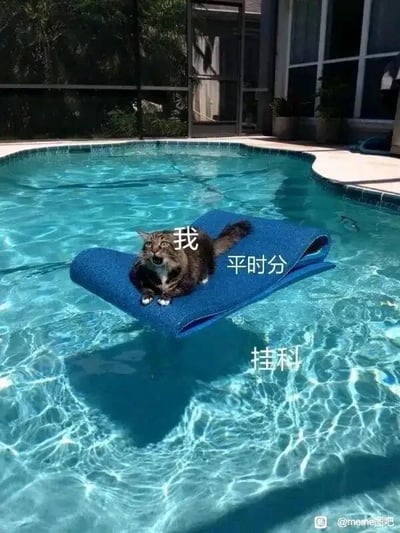 这是一张文字加注的静态图，画面主体是一只表情慌张的猫咪，它趴在泳池的蓝色浮垫上，浮垫悬浮在清澈的泳池水面上方，下方是池水。图中用文字进行标注：猫咪身上标注“我”，代表学生；蓝色浮垫标注“平时分”；下方的池水标注“挂科”。整个画面形象地比喻学生靠着平时分的支撑，才惊险地没有落到挂科的境地，生动又调侃地表现出部分学生成绩刚好及格、勉强避开挂科的窘迫又庆幸的状态，很容易引发学生群体的共鸣。