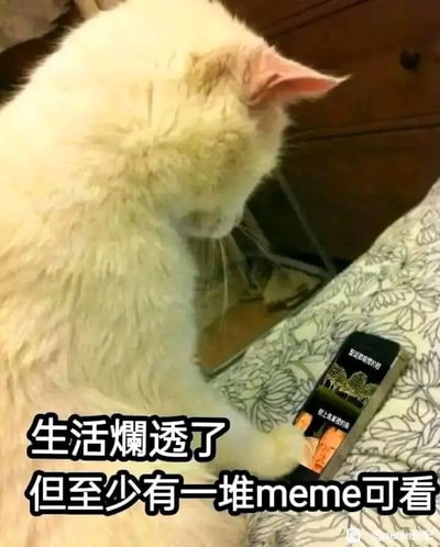 这是一张用来表达情绪共鸣的meme图，画面主体是一只神情低落、无精打采的白色猫咪，它的一只爪子搭在放在花纹布料上的手机上，低头注视着手机屏幕，手机屏幕上显示着另一张搞笑meme内容。图中配有简体中文文字“生活烂透了，但至少有一堆meme可看”，精准地传递出当代人在遭遇不顺心的生活时，通过浏览网络上的搞笑meme内容来获取精神慰藉、缓解低落情绪的状态，用猫咪的低落形象拟人化地表现出人的失意心情，和文字内容形成强烈的情绪呼应，容易引发同样在生活中感到疲惫的网友的共鸣。