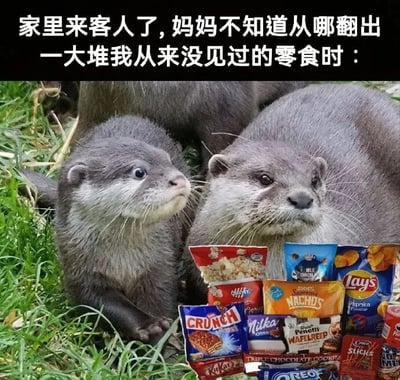 图片上方配有文字“家里来客人了,妈妈不知道从哪翻出一大堆我从来没见过的零食时：”，下方是两只水獭趴在绿色草地上，面前堆放着多种品牌零食，包括乐事薯片、奥利奥饼干、Crunch巧克力、Nika威化等。水獭睁着圆溜溜的大眼睛，微微歪头注视着面前的零食堆，表情中充满惊讶与好奇，生动还原了孩子看到妈妈突然拿出大量“隐藏零食”时的真实反应。