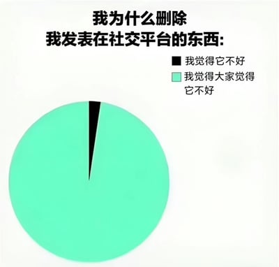 一张展示删除社交平台内容原因的趣味图表。上方文字为“我为什么删除我发表在社交平台的东西:”，下方是一个饼图，其中极小的黑色部分代表“我觉得它不好”，而占绝大多数的浅绿色部分代表“我觉得大家觉得它不好”，通过夸张的比例对比幽默地反映了人们在社交平台上对他人看法的过度在意。