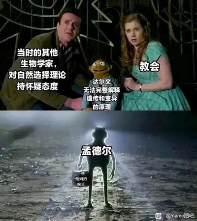 这是一张上下对比式的科普meme图，用幽默的影视梗还原了进化论发展的关键节点：上半部分改编自电影《魔法奇缘》的截图，将其中的角色分别对应为对自然选择理论持怀疑态度的其他生物学家、代表反对势力的教会，以及陷入困境的达尔文——达尔文提出了自然选择理论，但无法完整解释遗传和变异的核心原理，同时面临着学界质疑与教会的压力；下半部分采用科幻作品中经典的神圣打光剪影构图，塑造了孟德尔的形象，他手提标注着“一些他妈的豌豆”的箱子，用口语化的夸张表达，凸显孟德尔通过豌豆实验发现的遗传规律，恰好补全了进化论中缺失的遗传逻辑，如同“救星”一般解决了达尔文的理论困境，以诙谐的方式科普了这段科学史的关联。