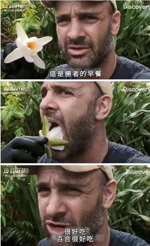 《埃德·斯塔福德：深入荒野》