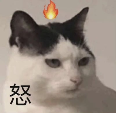 这是一张用于表达愤怒情绪的静态表情包，主体是一只黑白花色的真实猫咪，猫咪眉头紧皱，眼神看起来充满不满，神态愤怒又烦躁；创作者在猫咪头顶添加了火焰特效图案，同时在画面左下角配上了一个大大的“怒”字，通过图文结合的方式，将猫咪的愤怒神态与文字、特效相呼应，更加直观地传递出火气上头、愤怒烦躁的情绪，适合在社交聊天中用来表达自己生气的心情。