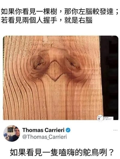 这是一张趣味吐槽类梗图，采用图文混排的形式，顶部配文给出了常见的左右脑测试说法：看到图中木纹是一棵树代表左脑发达，看到两个人握手代表右脑发达；中间主体是一块带有天然结疤和纹理的木材照片，其纹理可以被视觉错看成树木、两个人握手的形态，还可以被看成一只神态滑稽仿佛嗑嗨的鸵鸟；底部附上了X平台用户的评论，反套路提问如果看到的是嗑嗨的鸵鸟对应什么情况，用幽默的方式拆解了这类左右脑测试的伪科学属性，笑点在于同一张图片可以被解读出多种完全不同的形象，嘲讽了这类测试的无厘头和不合理性。