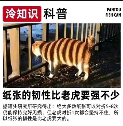 这是一张幽默科普类梗图，上方有红色"冷知识科普"标题栏，主体是一只橘猫站在栅栏前，阳光透过栅栏在猫身上形成了有趣的条纹光影效果。图片下方配有文字："纸张的韧性比老虎要强不少"，并一本正经地解释："据罐头研究所研究得出：绝大多数纸张可以对折5-8次仍能保持完好无损，但老虎对折1次都会坚持不住，所以纸张的韧性是比老虎要大的。"

该梗图运用了荒诞逻辑和偷换概念的幽默手法，将纸张的物理韧性与老虎无法被对折的常识进行无厘头对比，创造出滑稽效果。
