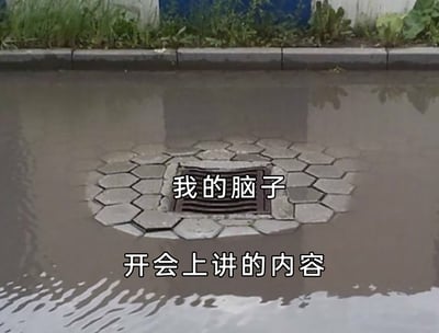 这是一张职场吐槽类的网络梗图，画面展示了一处被积水淹没的路面下水道口，下水道口上方标注文字“我的脑子”，下方积水处标注文字“开会上讲的内容”。用积水全部涌入并流走下水道的视觉效果，生动形象地比喻职场人开完会后，开会的内容就像水流一样从脑子里彻底流失，完全记不住的状态，精准捕捉了职场人开会时注意力涣散、会后毫无印象的普遍痛点，充满了幽默与共鸣感，能让职场人快速共情。
