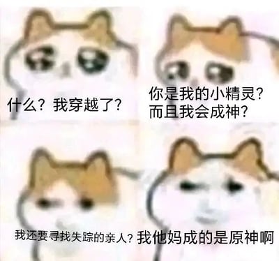 这是一张四格连环的文字加注图，使用了网络流行的流泪猫猫头卡通形象，通过四格对话的递进制造谐音梗笑点。第一格猫猫头露出惊讶疑惑的表情，配文“什么？我穿越了？”；第二格猫猫头带着期待的神情，配文“你是我的小精灵？而且我会成神？”；第三格猫猫头表情变得凝重，配文“我还要寻找失踪的亲人？”；第四格猫猫头表情崩溃，配文“我他妈成的是原神啊”。这里将“成神”谐音为游戏《原神》，结合游戏中主角穿越到陌生世界、寻找失散亲人的核心剧情，把常见的穿越成神网文套路和游戏剧情做反差结合，用反转感制造搞笑效果。