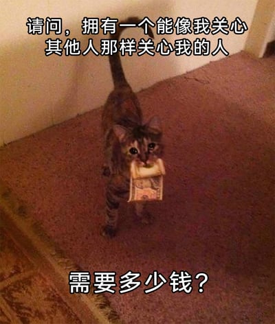 这是一张文字加注的宠物表情包，画面主体是一只站在地毯上的狸花猫，它眼神湿漉漉，表情委屈可怜，嘴里叼着一张纸币。图片上下方配有文字“请问，拥有一个能像我关心其他人那样关心我的人需要多少钱？”，通过猫咪叼钱的动作和委屈的神态，将渴望被同等关心的情绪具象化，用金钱量化这份期待，传递出在人际关系中付出关心却得不到同等回应的失落、自嘲与无奈，适合用来抒发个人在情感或人际交往中的这类情绪。