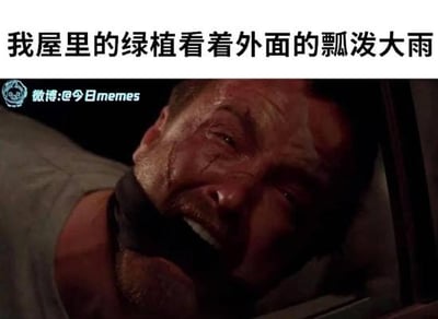 该梗图上方配有文字“我屋里的绿植看着外面的瓢泼大雨”，下方为一张影视截图：一名男性嘴巴被布条封住，面部布满泪痕，眼神中充满痛苦与渴望，正用力睁眼向外凝视。通过拟人化手法，将绿植渴望雨水的心情用人类极度渴望的表情夸张展现，形成幽默效果，暗示室内绿植在大雨时对水分的“羡慕”与“急切”。