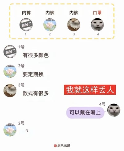 图片为一个搞笑选择类梗图，上方横向排列4个选项，前3个标注“内裤”，第4个标注“口罩”，每个选项配有不同头像：1号是“疯掉了”徽章，2号是莲花图，3号和4号是冷漠猫脸。下方对应每个选项的描述：1号“有很多颜色”，2号“要定期换”，3号“款式有很多”，4号“可以戴在嘴上”。中间有红色文字“我就这样丢人”，底部2号莲花头像旁配“?”表示疑惑。通过将口罩混入内裤选项并给出离谱描述制造笑点。