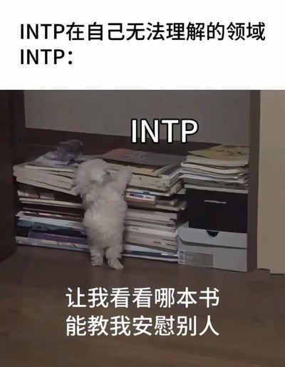 这是一张关于MBTI十六型人格的搞笑梗图，顶部配文为“INTP在自己无法理解的领域 INTP:”，下方配图是一只白色小狗后脚站立、前爪搭在堆满各类书籍资料的柜子上，小狗上方标注有“INTP”字样，图片底部配文“让我看看哪本书能教我安慰别人”，用可爱的小狗形象生动调侃了INTP人格不擅长提供情绪安慰、遇到陌生领域第一反应是找资料学习的典型特质。