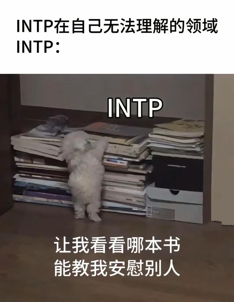 MBTI网络梗
