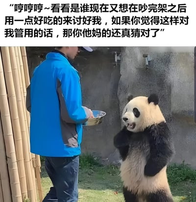 图片上方配有一段幽默文字：“哼哼哼~看看是谁现在又想在吵完架之后用一点好吃的来讨好我，如果你觉得这样对我管用的话，那你他妈的还真猜对了”，下方是一张实拍照片。照片中，一名身穿蓝色夹克的男子手持金属碗，正面对一只站立起来的熊猫，熊猫似乎在用前爪与男子互动，表情和姿态配合上方文字，营造出一种“嘴上傲娇拒绝，身体诚实接受美食讨好”的搞笑场景，生动演绎了生活中常见的“吵架后用美食和好”的幽默瞬间。