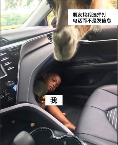 这是一张搞笑的网络梗图，通过合成的画面来调侃人们抗拒接电话的心理：图中把蜷缩在汽车中控台与车门狭小缝隙里、一脸抗拒无奈的小孩标注为“我”，上方将马的头部探入车内，对应右上角文字“朋友找我选择打电话而不是发信息”，用夸张且具象的场景，精准戳中了不少社恐人群、偏好文字沟通的人，在面对朋友突然打来电话时，想要躲避、满心抗拒的心情，画面反差感强烈，十分生动形象。