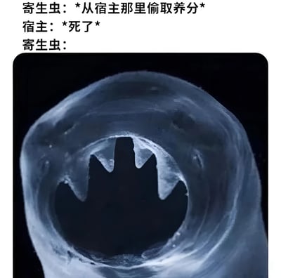 图片上方是三段文字，分别为“寄生虫：*从宿主那里偷取养分*”、“宿主：*死了*”、“寄生虫：”，下方配有一张深色背景的图片，画面中心是一个类似圆形隧道或张开的嘴的结构，边缘呈不规则的锯齿状，整体给人一种困惑或震惊的视觉效果，通过文字与图像结合，幽默地表现寄生虫在宿主死亡后不知所措的情景。