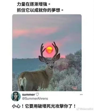图片上方有励志文字“力量在逐渐增强。抓住它以成就你的梦想。”，中间是一只鹿的照片，鹿角间恰好有一轮红色太阳，营造出类似能量聚集的视觉效果。图片下方有用户“summer ♡”的评论“小心！它要用破坏死光攻击你了！”，形成励志文字与搞笑吐槽的反差萌，整体风格幽默有趣。