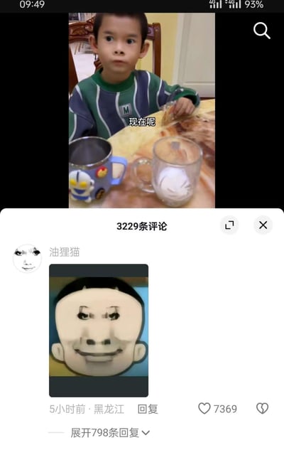 这是一张短视频平台的评论区截图，上方是一段生活视频的截图，画面里一个小男孩坐在餐桌前，表情神态和某款魔性圆脸表情包高度相似；下方是用户「油狸猫」发布的评论，附带一张自制P图，将小男孩的脸替换成了那款魔性表情包的脸，精准还原撞脸效果，这条评论收获了7369个赞，还有798条回复，整体是网友玩梗的趣味内容，没有双关或谐音梗。