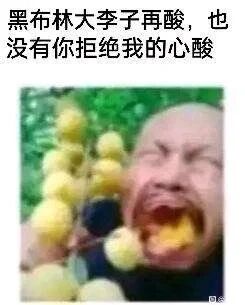 这是一张图文混排的搞笑表情包，顶部配有文字“黑布林大李子再酸，也没有你拒绝我的心酸”，下方是经过P图改编的真人图片：图中人物表情扭曲痛苦，张大嘴巴咬着一颗黄色果实，手中还握着一串同款黄色果实。该图用黑布林的酸味类比被他人拒绝后的心酸情绪，以人物夸张的痛苦表情放大这种心酸感，将难过的情绪以搞笑自嘲的方式呈现，适合在日常聊天中用来表达被拒绝后的失落又自嘲的心情。