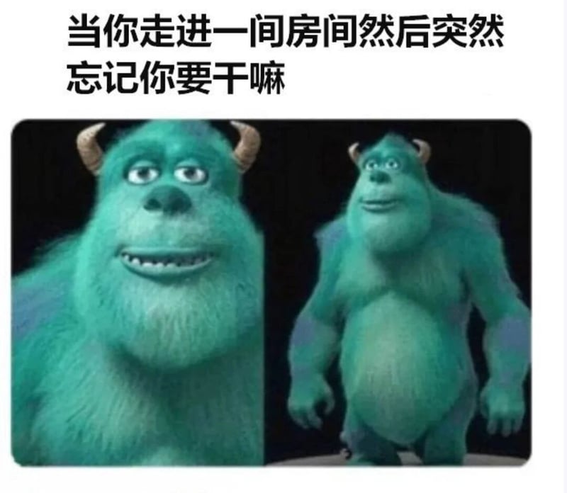 萨利·莱文