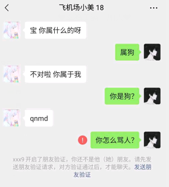 这是一张社交聊天软件的聊天记录截图，对话双方为“飞机场小美18”和一位未显示全名的用户。“飞机场小美18”先用土味情话开场，询问对方属相，在对方回复“属狗”后，说出“不对啦你属于我”的土味表白内容，不料对方反向接梗，回复“你是狗？”，让小美恼羞成怒，用脏话“qnmd”回怼，对方随即发出“你怎么骂人？”的疑问，紧接着系统提示显示“飞机场小美18”已将对方删除好友，对方需要发送验证请求才能继续聊天。整个对话充满反转，是典型的土味情话接梗翻车场景，搞笑又带着尴尬感。