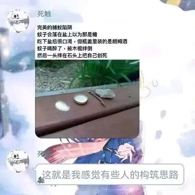 暂无描述