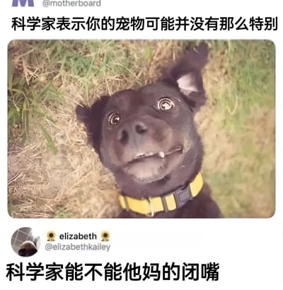 图片上方配有文字“科学家表示你的宠物可能并没有那么特别”，中间是一只戴着黄色项圈的黑色小狗趴在草地上，仰头睁着大眼睛，表情呆萌又好奇。图片下方则是带有愤怒情绪的反驳文字“科学家能不能他妈的闭嘴”，并标注了用户“elizabeth”及其账号“@elizabethkailey”。整体通过科学言论与宠物主人的强烈情感反应形成幽默对比，展现了人们对宠物的珍视与对“理性结论”的调侃。