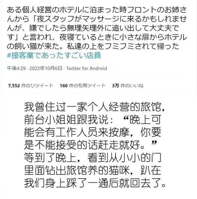 这是一张Twitter社交媒体截图，内容为用户分享的真实旅馆住宿经历：入住个人经营的旅馆时，前台小姐姐告知“晚上可能会有工作人员来按摩，若不喜欢可直接赶走”。当晚，一只旅馆饲养的猫咪从门缝钻入房间，在客人身上轻轻踩过后离开，原来所谓的“夜间按摩师”竟是这只可爱的店猫。推文下方附有中文翻译，配文#接客業であったすごい店員（#服务业中遇到的超棒店员），展现了服务业人员的贴心与小动物带来的温馨趣味。