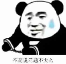 图片为一个经典的熊猫头表情包，主体是黑白配色的熊猫头部形象，脸部融合了人类的五官特征，呈现出略带尴尬的微笑表情，右侧脸颊有一滴明显的汗珠，暗示紧张或不安的情绪。图片底部配有文字“不是说问题不大么”，整体通过幽默的方式表达对之前“问题不大”说法的质疑或现实与预期不符的无奈感。