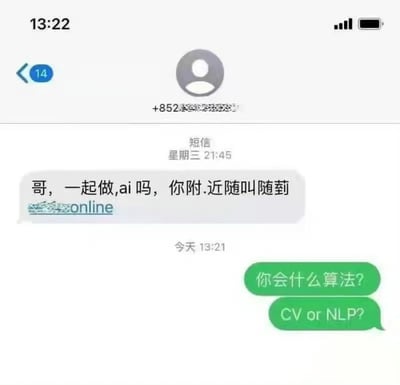 这是一张手机短信聊天记录截图，显示了一个有趣的AI梗对话。来自+852（香港）号码的联系人发送消息："哥，一起做,ai吗，你附.近随叫随蓟"，利用"做AI"制造了双关含义。用户则用技术术语幽默回应："你会什么算法? CV or NLP?"，将话题转向计算机视觉(CV)和自然语言处理(NLP)等AI技术领域，形成了搞笑的反差效果。