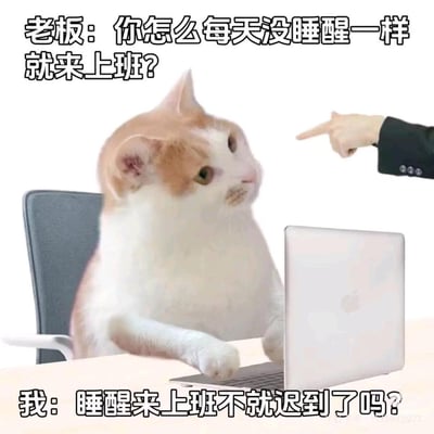 这张梗图展示了一只橘白相间的猫咪坐在办公桌前，前爪放在一台苹果笔记本电脑上，表情看起来困倦迷茫。右侧有一只穿着黑色西装的手正指着猫咪。图片上方配有老板的质问："你怎么每天没睡醒一样就来上班?"，下方则是猫咪的内心回应："睡醒来上班不就迟到了吗?"。

图片通过拟人化的猫咪形象和幽默对话，调侃了职场中常见的早起上班困境，用夸张的方式表达了许多打工人为了不迟到而牺牲睡眠时间的无奈现实。
