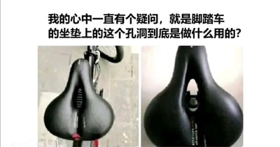 图片上方文字提出疑问：'我的心中一直有个疑问，就是脚踏车的坐垫上的这个孔洞到底是做什么用的？'，下方左右并排展示两张脚踏车坐垫的照片，两个坐垫中央均有明显的孔洞设计，直观呈现问题中的特征，引发对该设计功能的好奇与讨论。