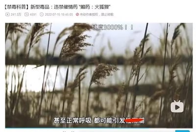 这是一张来自哔哩哔哩（B站）的禁毒科普视频截图，顶部的视频标题栏显示视频标题为【禁毒科普】新型毒品：违禁催情药“媚药：火狐狸”，同时标注了241.0万的播放量、4591条评论，发布时间为2022年7月15日18:45:00，还有“未经作者授权，禁止转载”的版权提示。视频画面主体是户外的芦苇丛场景，画面中叠加了醒目的文字“感度3000%！！”，底部配有字幕“甚至正常呼吸 都可能引发性高潮”，用夸张的表述来强调这款违禁催情药的强烈作用，整体内容属于禁毒科普范畴，目的是向大众科普这类新型毒品的特性，提升大众对违禁毒品的警惕性。