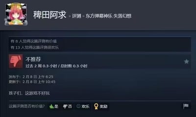 这是Steam平台的游戏评测页面截图，用户以东方Project角色稗田阿求作为头像，对游戏《东方弹幕神乐 失落幻想》给出「不推荐」的差评，总游戏时长仅0.3小时，评测内容非常简短：「孩子们，这游戏不好玩」。该评测获得了8名用户标记为有价值，13名用户标记为很欢乐，发布与更新时间均为2月8日。图中没有双关、谐音梗或暗示类内容，是一则直白的游戏吐槽评测。