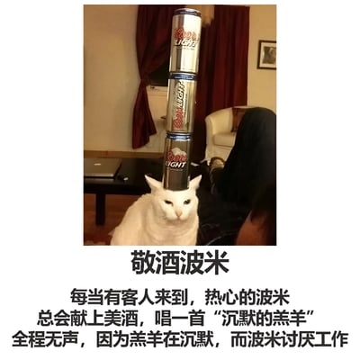 图片中一只白猫头顶堆叠着三个啤酒罐（分别为Coors Light和Budweiser品牌），表情平静冷漠。图片下方配有文字：“敬酒波米 每当有客人来到，热心的波米总会献上美酒，唱一首‘沉默的羔羊’ 全程无声，因为羔羊在沉默，而波米讨厌工作”，以幽默的方式描述猫咪“波米”献酒却因“讨厌工作”而保持沉默的场景。