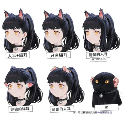 图片展示了一个黑发双马尾猫耳少女的六种耳朵设定对比，共六张头像排成两行三列，最后以一只戴铃铛项圈的黑猫收尾。每张头像下方配有文字说明：第一行从左到右分别为“人耳+猫耳”“只有猫耳”“隐藏的人耳（薛定谔的耳朵）”，第二行从左到右为“侧边的猫耳”“头顶的人耳”，最后黑猫下方标注“??? ”。角色均为动漫风格，黄色眼睛，佩戴黑色项圈和银色铃铛，整体风格可爱幽默，其中“薛定谔的耳朵”玩梗量子物理概念，增添趣味性。