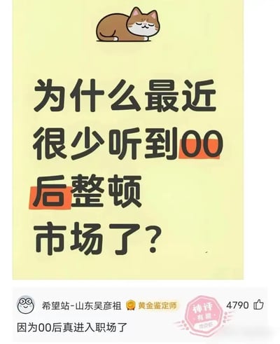 这是一张用黑色幽默调侃职场现实的梗图。画面顶部是一只猫咪卡通形象，正文大字写着“为什么最近很少听到00后整顿市场了？”下方配有评论区精选神评“因为00后真进入职场了”，暗示00后在进入职场后面对现实，无法再“整顿”市场。此处“整顿市场”既是网络热词，也带有双关讽刺，体现了年轻人对于职场无奈的心态。