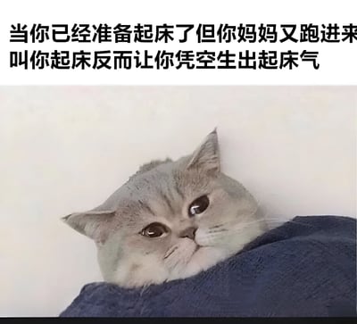 图片上方是黑色加粗文字：'当你已经准备起床了但你妈妈又跑进来叫你起床反而让你凭空生出起床气'，下方是一只灰色猫咪，脑袋从蓝色毯子里探出来，眼睛睁大，表情看起来有些无奈又带点烦躁，完美呼应了文字描述的起床气场景。