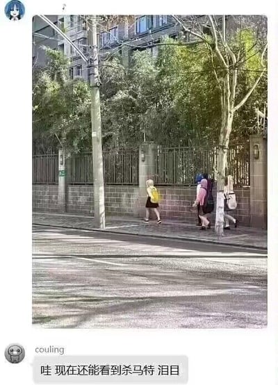 这是一张社交媒体截图，截图中的主体照片是日常街景：路边的行道树树干与后方行走的行人身体位置巧合重叠，视觉上看起来像是这名行人留着杀马特风格的彩色长发，制造出有趣的视觉错觉。截图下方是网友“couling”的评论：“哇 现在还能看到杀马特 泪目”，这条评论将错位的视觉效果和曾经流行的杀马特文化关联起来，引发怀旧感，整体内容充满趣味和对早年流行文化的怀念。