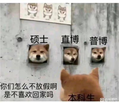 这是一张以柴犬表情包为基础创作的搞笑校园梗图，画面中，下方是标注为“本科生”的柴犬背影，它对着墙上三个分别标注“硕士”“直博”“普博”的、从墙洞里探出头的柴犬发问：“你们怎么不放假啊 是不喜欢回家吗”，墙的上方还印有三个同款柴犬的图案。图中用拟人化的方式，幽默地调侃了高校中硕博阶段学生假期时间少，与本科生假期充裕的差异，精准戳中了不同学历阶段学生的假期现状，引发校园群体的共鸣。