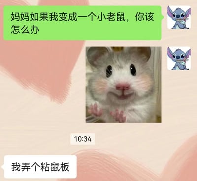 这是一张微信聊天记录截图，对话发生在孩子与妈妈之间。孩子使用史迪奇作为聊天头像，先是向妈妈抛出一个充满童趣的提问：“妈妈如果我变成一个小老鼠，你该怎么办”，紧接着发送了一张软萌无辜的仓鼠图片来呼应自己的问题；妈妈则给出了极具反差感的硬核回复：“我弄个粘鼠板”，这种意料之外的回答让这段亲子对话充满了搞笑趣味，展现出亲子间轻松幽默的相处氛围。