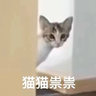 一只灰白相间的虎斑猫从墙角探出头来，耳朵竖起，眼睛睁大，表情既好奇又带着一丝警惕地偷看前方。图片下方配有白色粗体文字“猫猫祟祟”，生动形象地描述了猫咪这种偷偷摸摸的可爱姿态。
