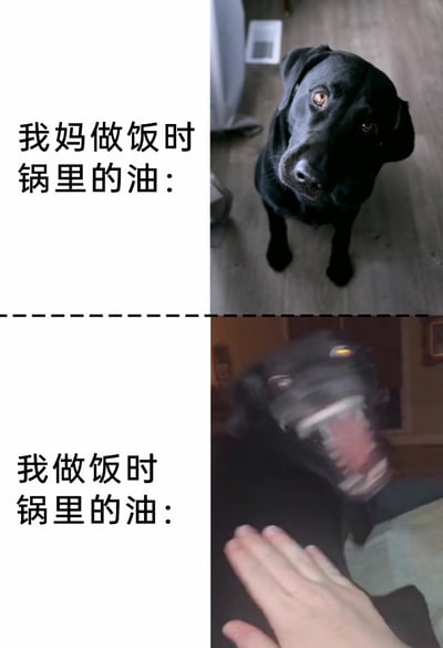 这是一张上下分栏的对比类梗图，通过黑色拉布拉多犬的两种反差状态，幽默对比不同人做饭时锅里油的状态：上半部分配文“我妈做饭时锅里的油：”，对应画面是一只黑色拉布拉多犬安静沉稳地抬头注视前方，以此比喻妈妈这类熟练做饭者操作时，锅里的油状态稳定、可控；下半部分配文“我做饭时锅里的油：”，对应画面是同一只狗狗疯狂晃动头部、动作幅度极大的模糊画面，用来调侃新手做饭时，锅里的油容易失控、四处飞溅的状况，生动展现了新手与熟手做饭的反差感，充满生活趣味。