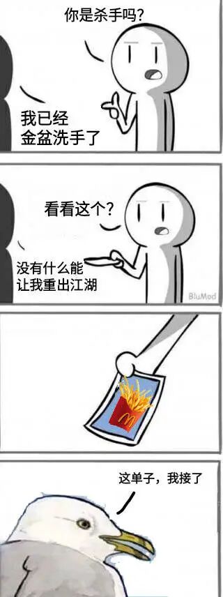 海鸥