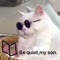 戴墨镜的白猫：Be quiet, my son